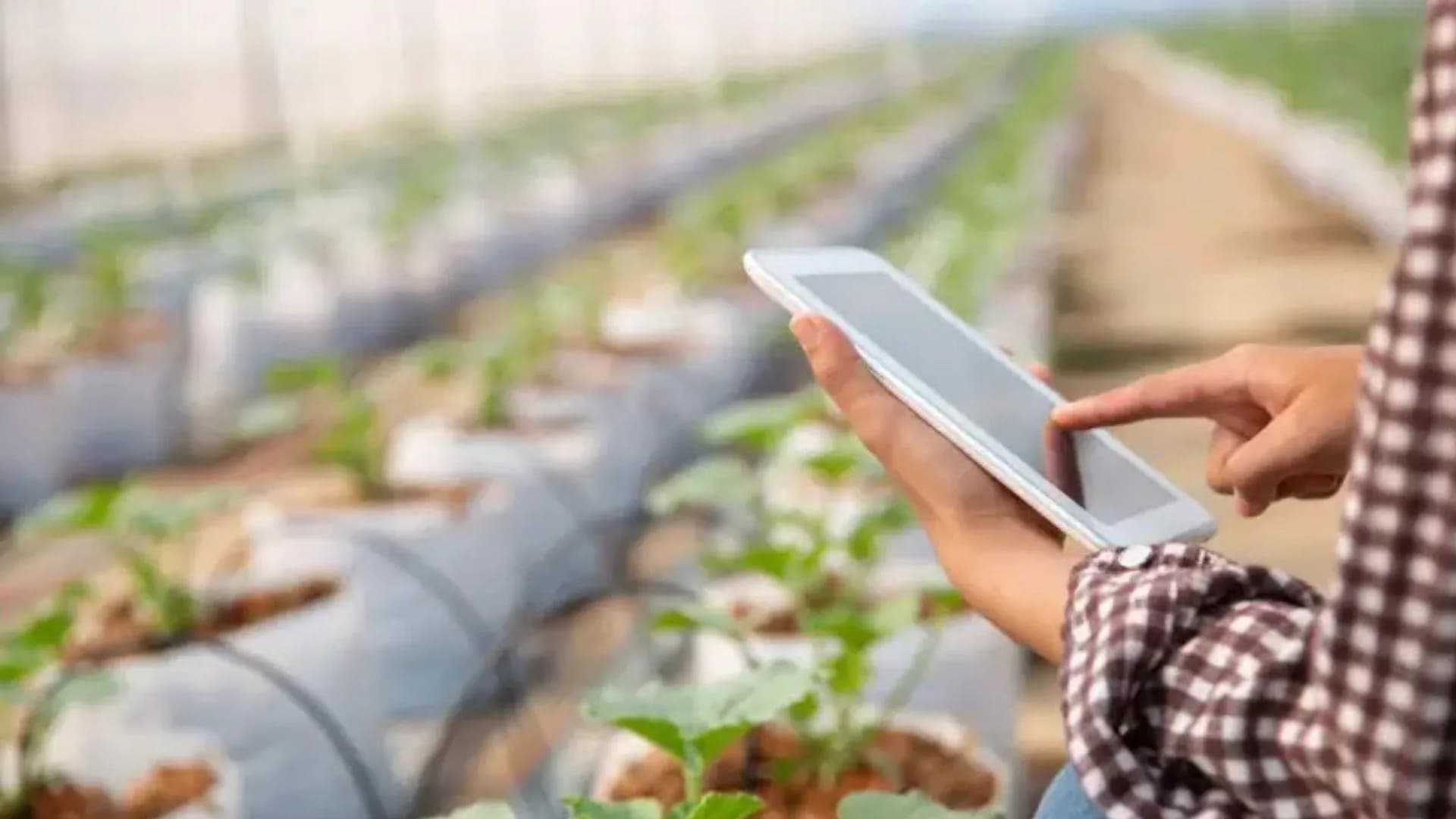 SEBRAE-SP ABRE 180 VAGAS GRATUITAS PARA PEQUENOS PRODUTORES RURAIS EM PROGRAMA DE INOVAÇÃO E GESTÃO
