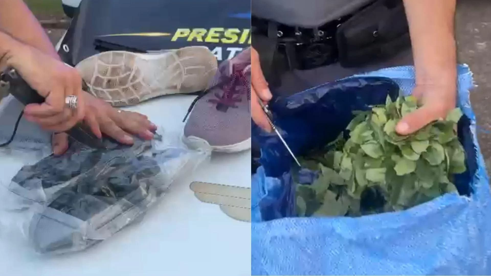 FOLHAS DE COCA E HAXIXE MARROQUINO SÃO APREENDIDOS COM PASSAGEIRAS BOLIVIANAS NA RODOVIA RAPOSO TAVARES