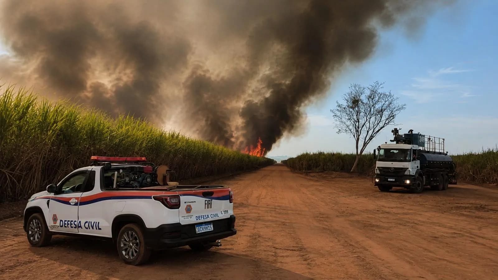 COM UMIDADE DO AR EM 19,5%, DRACENA ENTRA EM ESTADO DE ALERTA E FIGURA ENTRE AS CIDADES MAIS SECAS DE SP