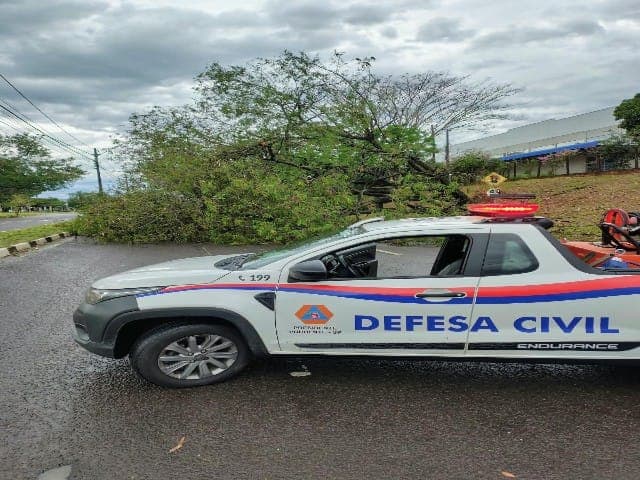 AÇÕES DE LIMPEZA E ZELADORIA SÃO MOBILIZADAS EM PRESIDENTE PRUDENTE APÓS TEMPESTADE